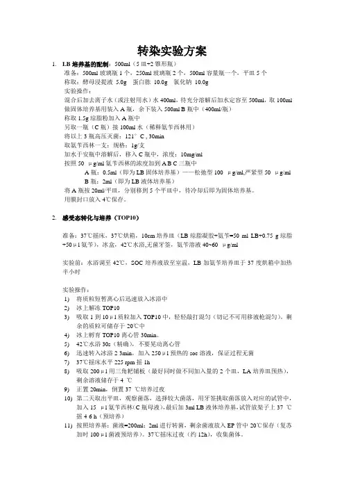 转染实验方法 (全)