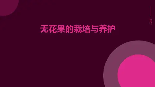 无花果的栽培与养护