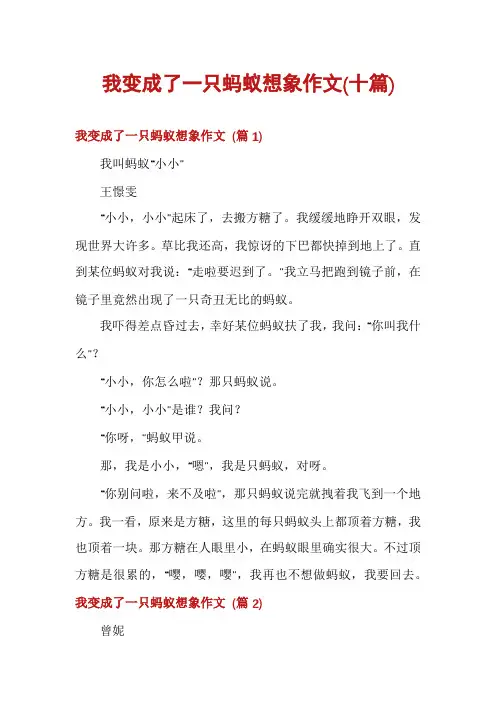 我变成了一只蚂蚁想象作文(十篇)