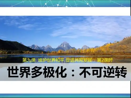 世界多极化：不可逆转PPT课件13