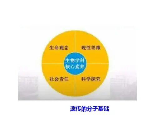 高考生物总复习(七)遗传的分子基础课件