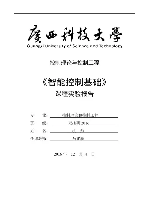 模糊实验报告材料 洪帅
