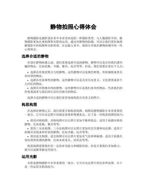 静物拍照心得体会