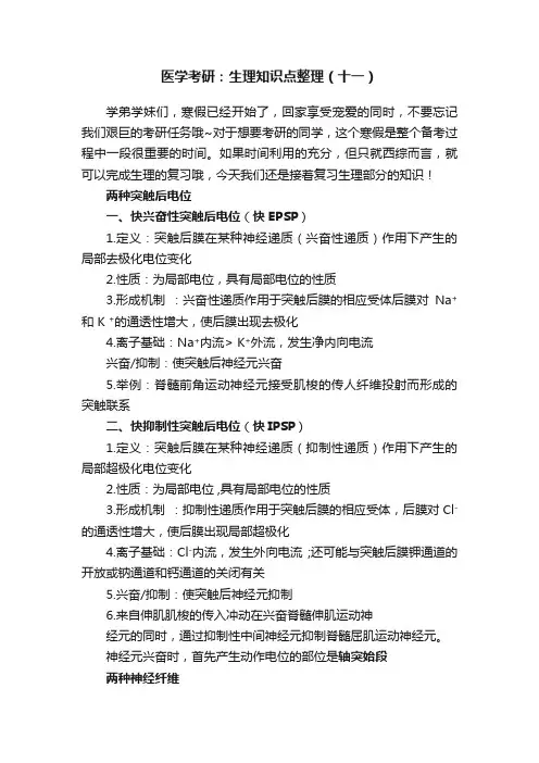 医学考研：生理知识点整理（十一）