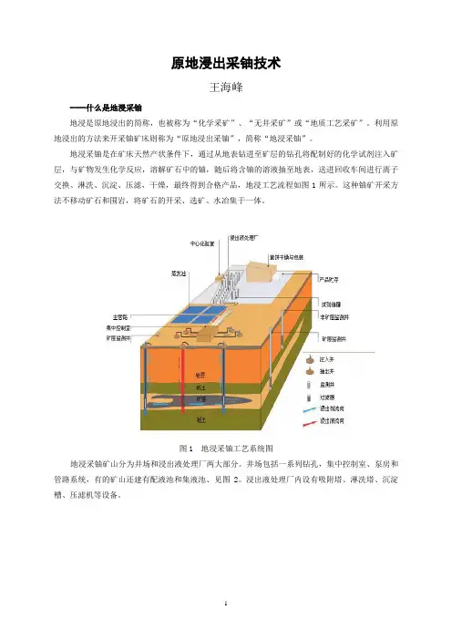 科普1原地浸出采铀