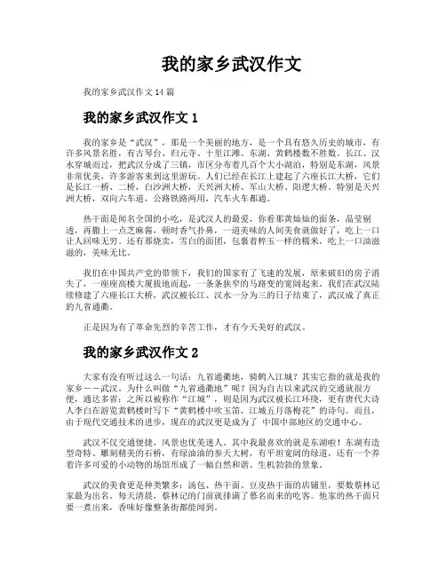 我的家乡武汉作文