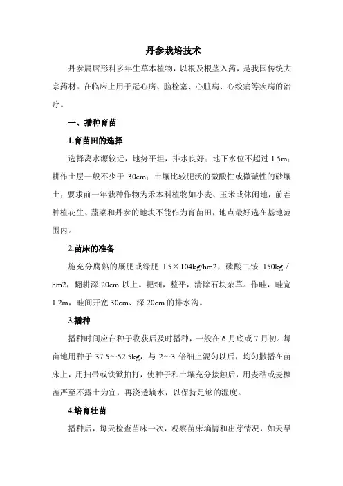 丹参栽培技术