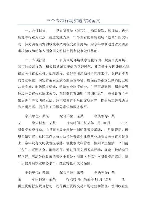 三个专项行动实施方案范文