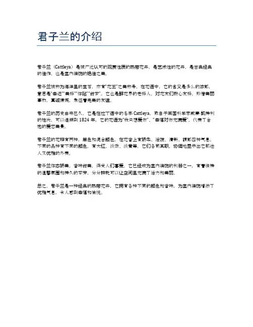 君子兰的介绍