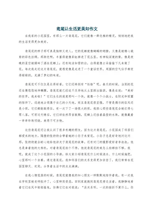鸢尾让生活更美好作文