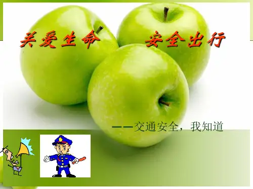 中学生交通安全教育课件PPT