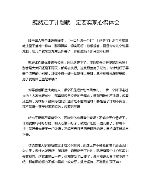 既然定了计划就一定要实现心得体会