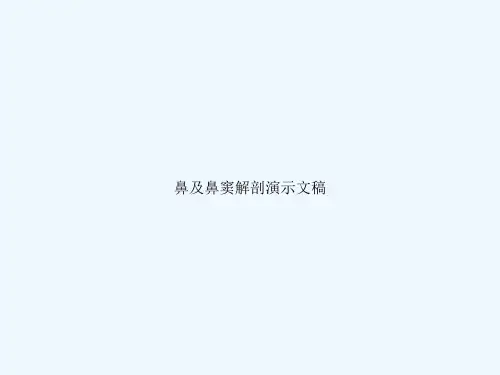 鼻及鼻窦解剖演示文稿