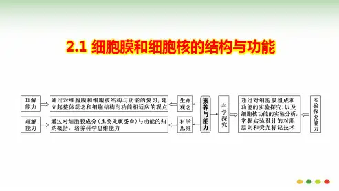 2-1 细胞膜和细胞核的结构与功能