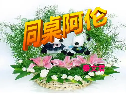 同桌阿伦-PPT课件 