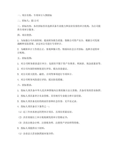 专项审计入围的招标文件
