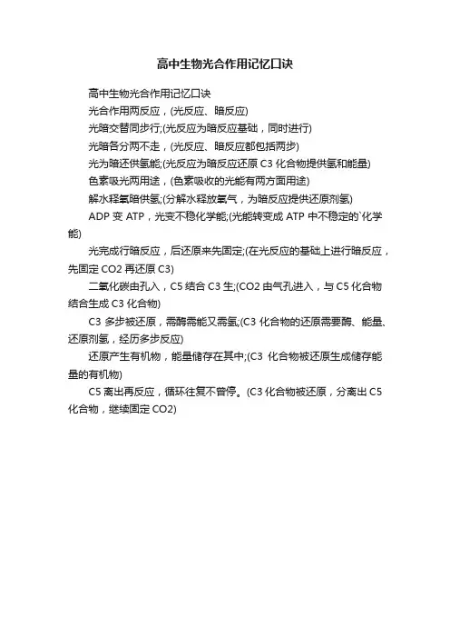 高中生物光合作用记忆口诀