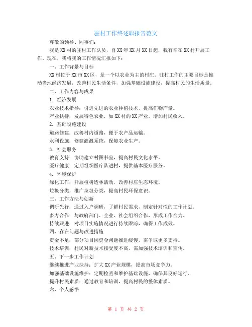 驻村工作终述职报告范文