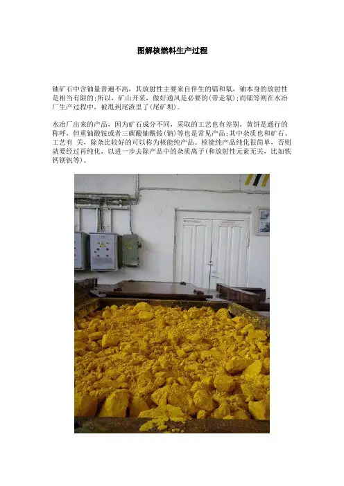 核燃料生产过程.docx