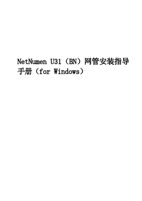 NetNumen U31网管安装指导手册