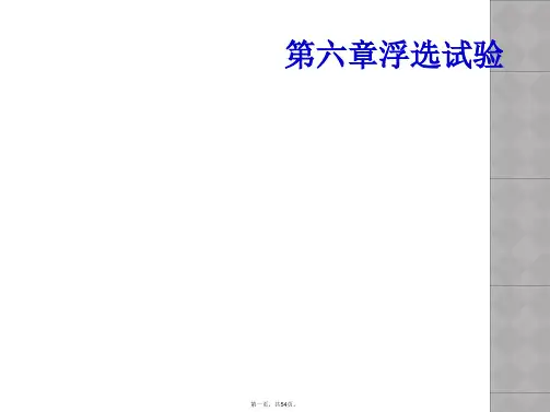 第六章浮选试验