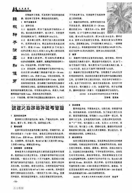 辣椒种子消毒和催芽