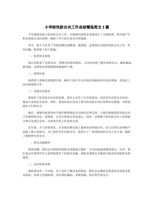小学防汛防台风工作总结精选范文3篇