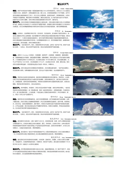 大气科学——看云识天气,实验报告