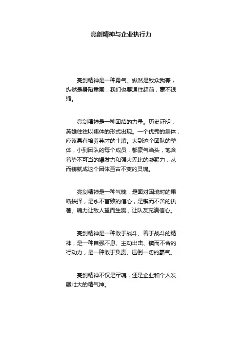 亮剑精神与企业执行力