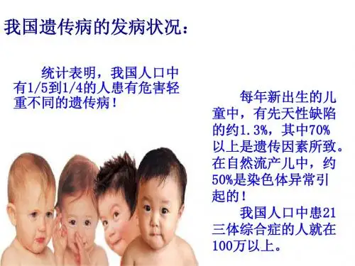 人类遗传病(共25张PPT)