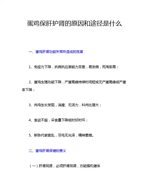 蛋鸡保肝护肾的原因和途径是什么