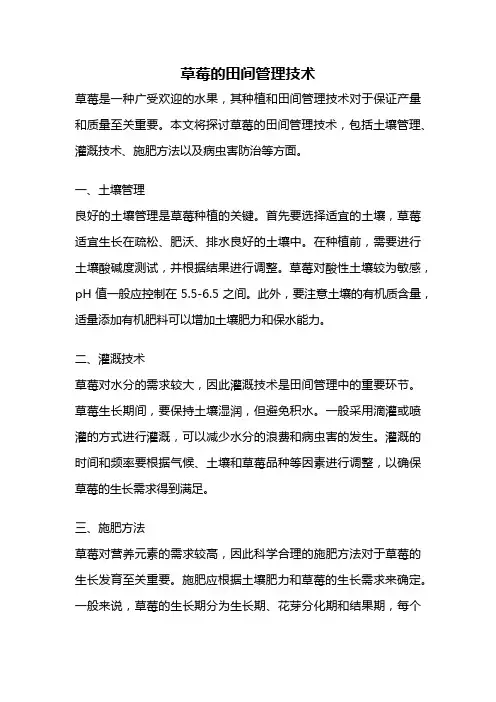 草莓的田间管理技术