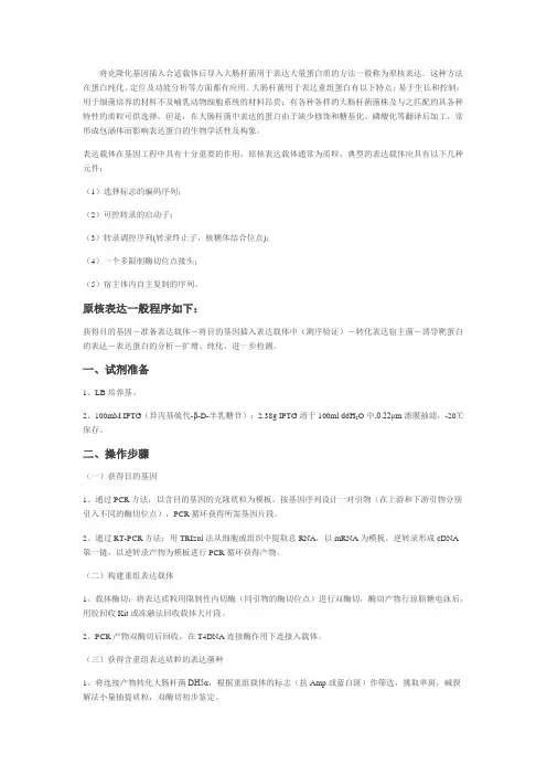 原核表达