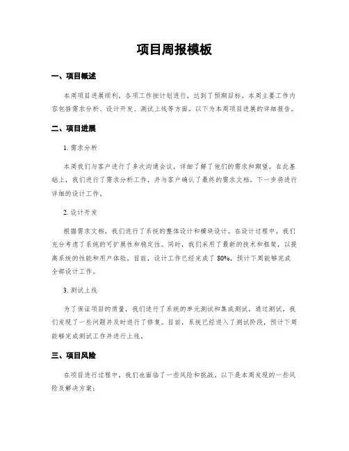 项目周报模板