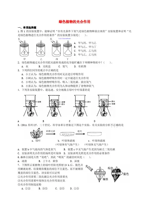 七年级生物上册 绿色植物的光合作用测试题 人教新课标版