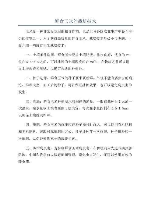 鲜食玉米的栽培技术