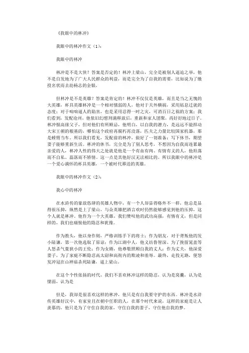 我眼中的林冲8篇_作文全面版