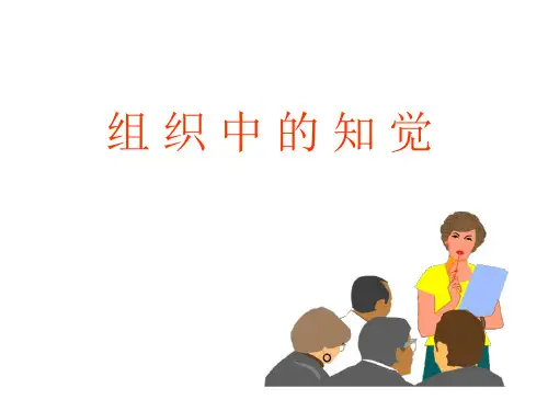 管理心理学组织中知觉和归因