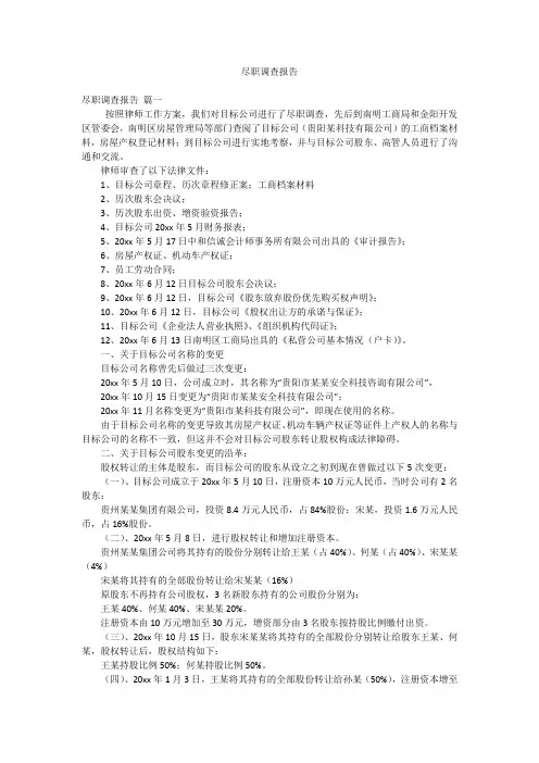 尽职调查报告