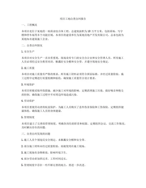 项目工地自查自纠报告
