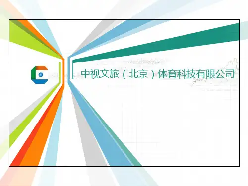 中视文旅企业介绍PPT