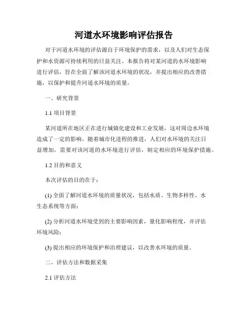 河道水环境影响评估报告