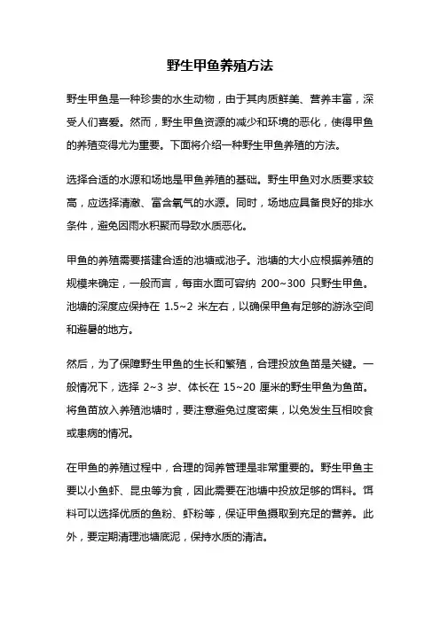 野生甲鱼养殖方法