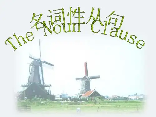 MY高考名词性从句含2013真题