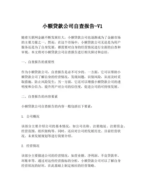 小额贷款公司自查报告-V1