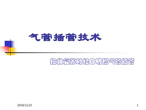 气管插管技术幻灯PPT