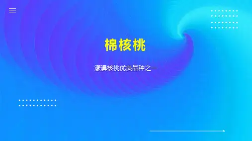 棉核桃    