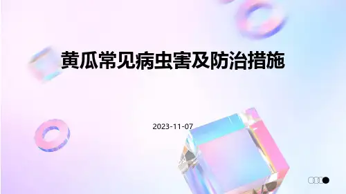 黄瓜常见病虫害及防治措施