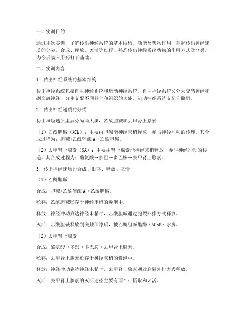 药理学实训报告传出神经