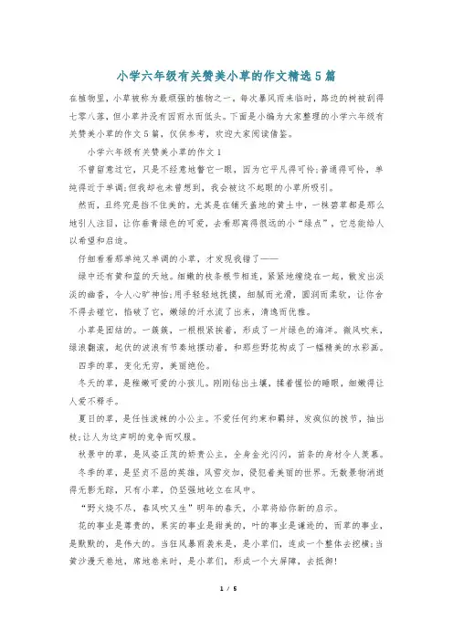 小学六年级有关赞美小草的作文精选5篇